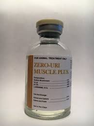 MUSCLE PLUS INJ 