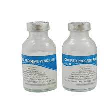 PENI PROCAINE