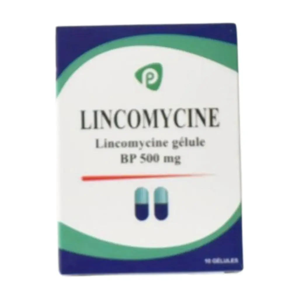 LYNCOMICINE 500 GELULE 