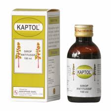 Kaptol sp