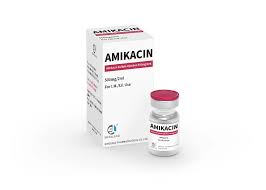 Amikacine inj 500 mg