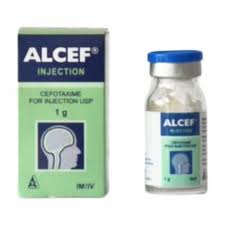 Alcef inj 1gr 