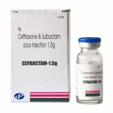 Cefbactam 1,5 gr