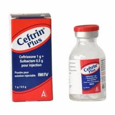 Ceftrin plus inj