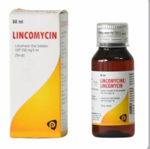 LINCOMICINE SP