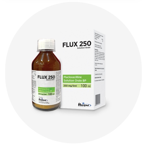 FLUX 250 SP