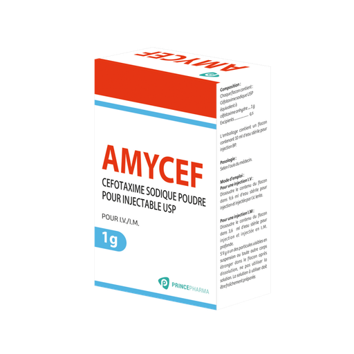 Amicef 1gr inj 