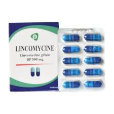 [3700502100433] Lincomicine E.O Cps