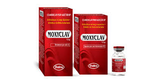 Moxyclav 600 inj