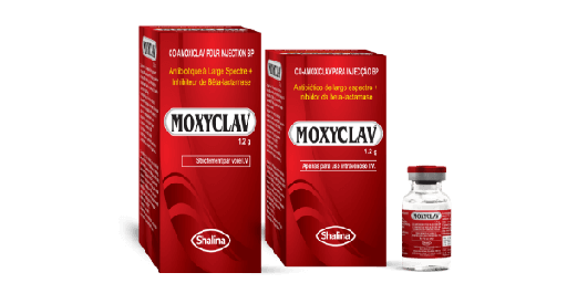 Moxyclav 1.2 mg inj