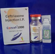 CONCEF 1 GR 