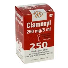 Clamoxyl 250ml